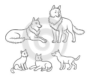 Wolves family - parents and three cubs. Vector illustration in contours