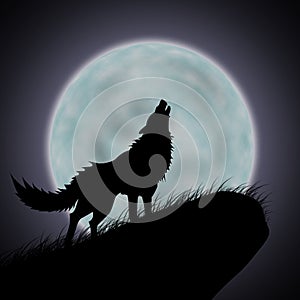 Wolves howl and full moon