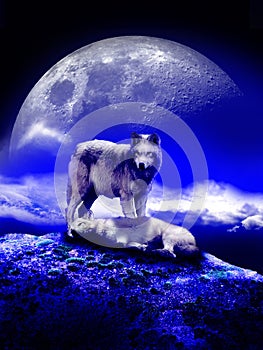 Wolves under the moon