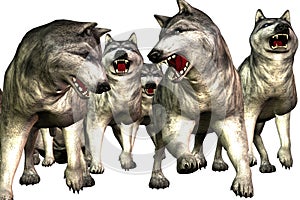 Wolves (Wolfs)