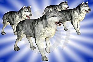 Wolves (Wolfs)