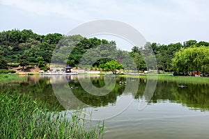 Wolyeongji pond in seoul dream forest
