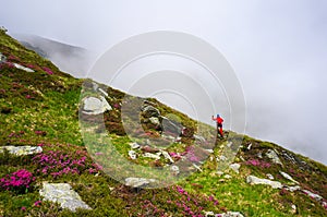Woman in action, hiking in the mountains with nordic walking poles