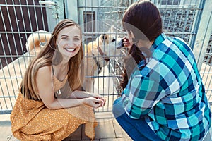 Woman adopting a dog in the animal shelter, eagerly waiting