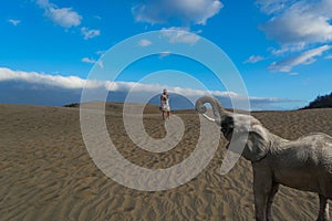 Woman and African elephant in the desert