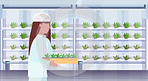 Woman agriculture engineer in uniform holding potted plants modern organic vertical farm interior farming industry