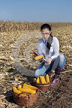 Woman agronomist in corn field