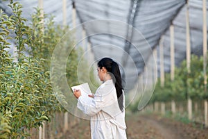 Woman agronomist in the orchard