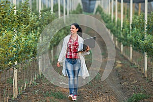 Woman agronomist in the orchard