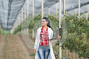Woman agronomist in the orchard photo