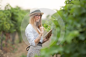 woman agronomist or viticulturist