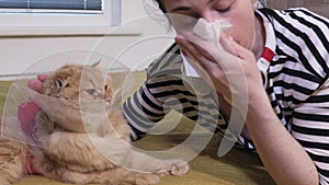 Woman with allergic rhinitis near cat in cone collar