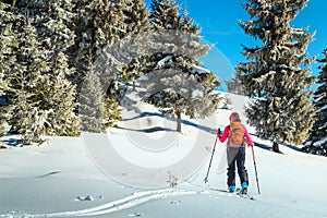 Woman alpine touring skier on the hills, Transylvania, Romania, Europe