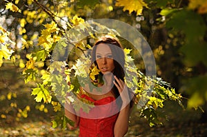 Woman Amongst Backlit Autumn Foliage