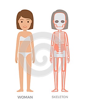 Woman Anatomy and Skeleton Struct Colorful Banner