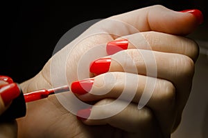 Woman applying nail polish on her manicured nail carefully photo