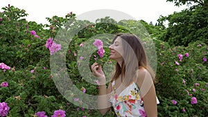 Woman Approaches A Rose Bush Takes A Flower By Her Hand And Enjoys Its Smell