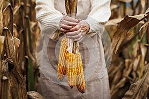 Woman with apron holding corn cob
