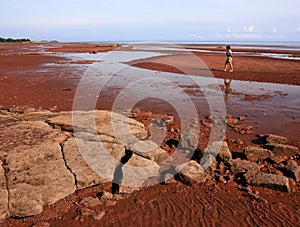 Woman at Argyle Shore