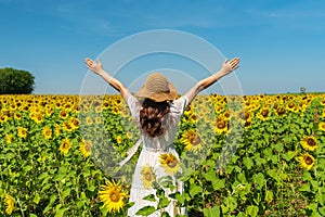 Woman with arms raised and enjoying with sunflower field