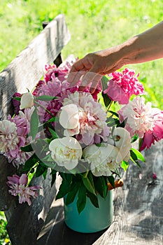 Woman arranging bouquet of peony flowers in milk can on wooden garden bench, closeup view