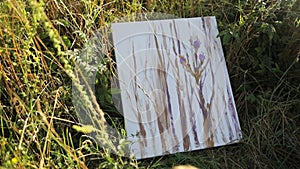 Woman artist paints a picture in a summer park in sunlight. Hobby to paint pictures