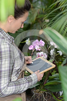 Woman as inspector on food plantation