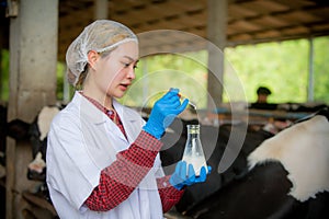 Woman Asian agronomist or animal doctor collecting milk sample at dairy farm