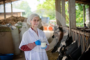 Woman Asian agronomist or animal doctor collecting milk sample at dairy farm