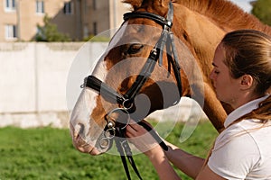 Woman attaching bridle to horse