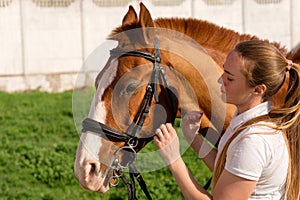 Woman attaching bridle to horse