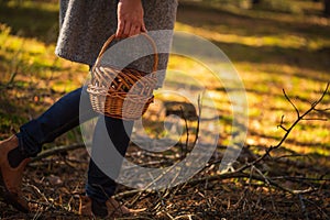 Woman in autumn forest is mushroom picking to wooden basket.