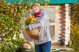 A woman in the autumn garden harvests and removes garbage