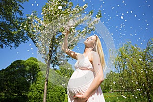 Woman with baby bump standing next to sakura tree