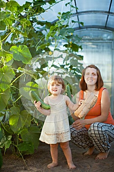 Woman and baby girl with cucumbers in hothouse