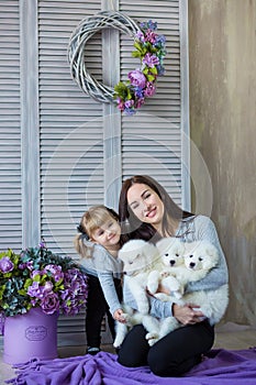 Woman and baby girl playing with whit hairy dog in studio shoot on a purple