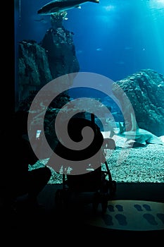 Woman and baby watching the fish tank with sharks