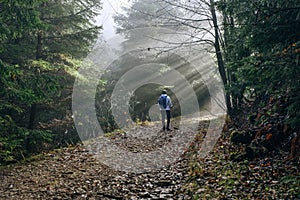 Woman with backpack have a forest walk using a  trekking poles. She walking by the forest path with trees tunnel and magical sun