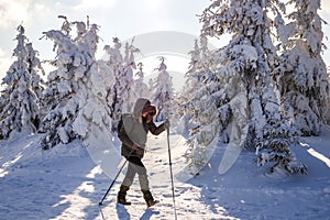 Woman with backpack and nordic walking pole trekking in snowy forest