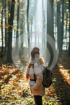 Woman with backpack walks in autumn forest with sunbeam shining through trees