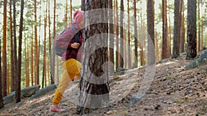 Woman with backpack walks in pine forest, looks around, admiring nature