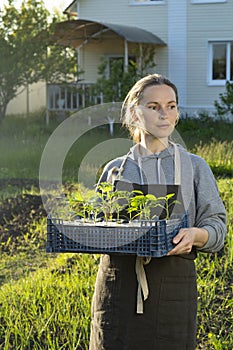 Woman in backyard with seedling plant, gardening concept