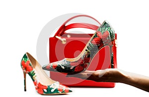 Woman bag. Ladies bag and stylish red shoes. Colorful leather shoes stiletto. Stylish classic women leather shoe