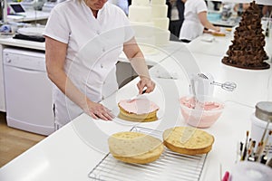 Woman In Bakery Decorating Cake With Icing