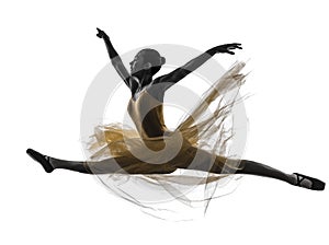 Woman ballerina ballet dancer dancing silhouette