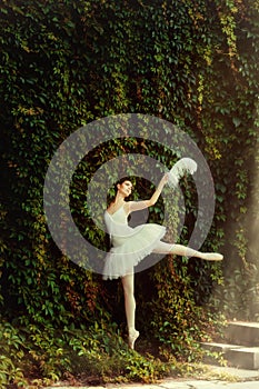 Woman ballerina in a white dress elegantly dances.