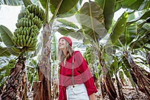 Woman on the banana plantation with rich harvest