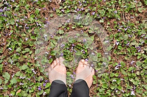 Woman bare feet among violet flowers