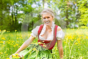 Woman in Bavarian clothes or dirndl on a meadow