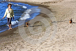 Woman on Beach with Dogs